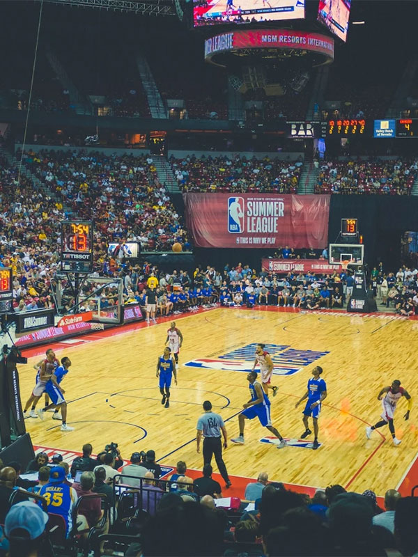 ticket-hof-basket